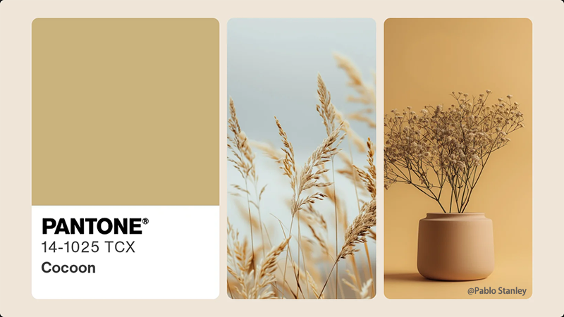 潘通麥田米色 潘通麥田米色